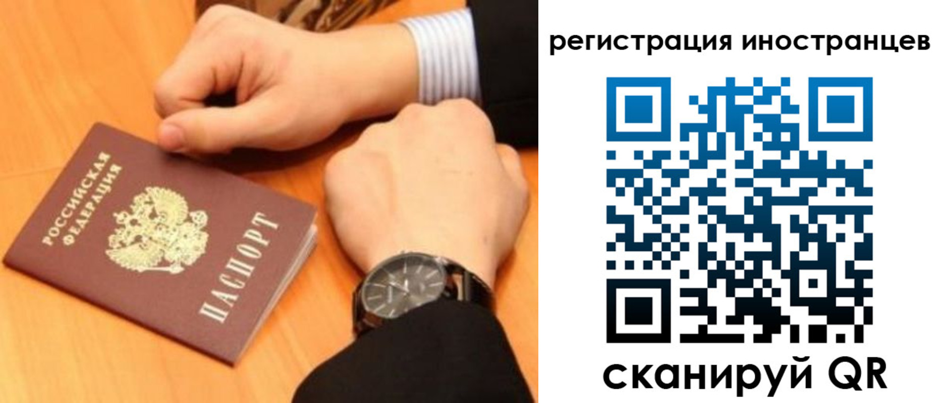 прописка гарантия в Алексине