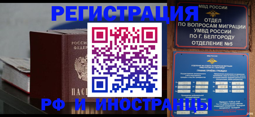 прописка 2025 в Алексине